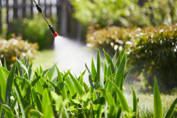 Tamper-Resistant Bait Stations for Rodents in Lakemore