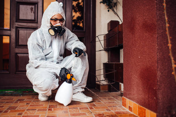 Attic and Crawl Space Rodent Treatment in Lakemore