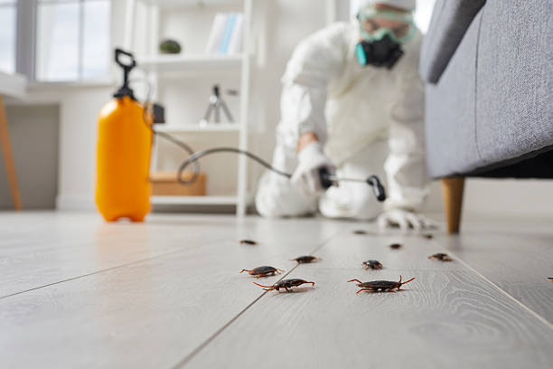 Commercial Rodent Management in Lakemore